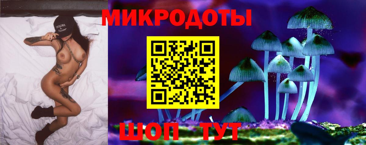 Ивантеевка  Галлюциногенные грибы Cubensis  Галлюциногенные грибы Psilocybine cubensis  Вход с VPN 